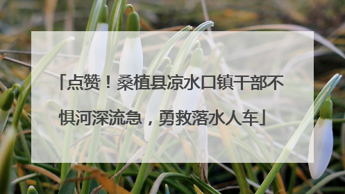 点赞！桑植县凉水口镇干部不惧河深流急，勇救落水人车