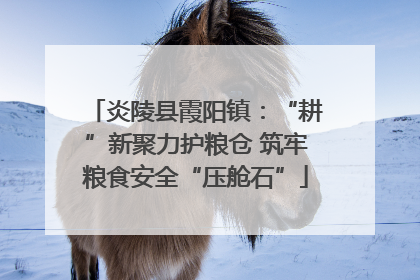 炎陵县霞阳镇：“耕”新聚力护粮仓 筑牢粮食安全“压舱石”