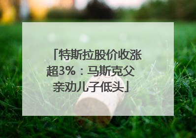 特斯拉股价收涨超3%：马斯克父亲劝儿子低头