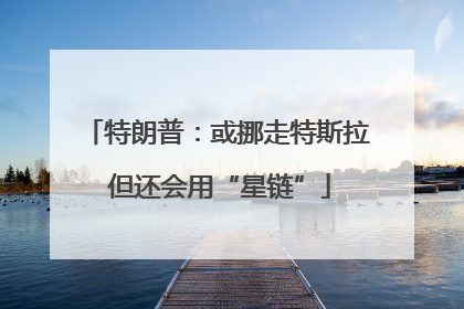 特朗普：或挪走特斯拉 但还会用“星链”