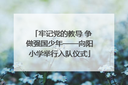 牢记党的教导 争做强国少年——向阳小学举行入队仪式
