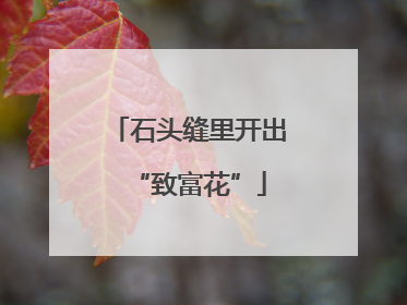 石头缝里开出“致富花”