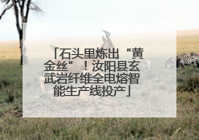 石头里炼出“黄金丝”！汝阳县玄武岩纤维全电熔智能生产线投产