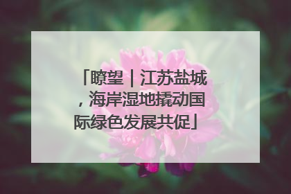 瞭望｜江苏盐城，海岸湿地撬动国际绿色发展共促