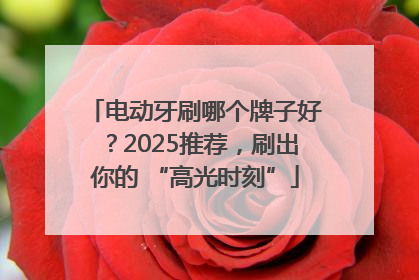 电动牙刷哪个牌子好？2025推荐，刷出你的 “高光时刻”