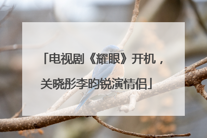 电视剧《耀眼》开机，关晓彤李昀锐演情侣