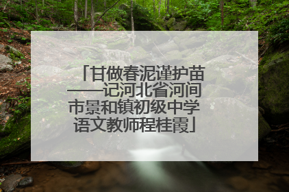 甘做春泥谨护苗——记河北省河间市景和镇初级中学语文教师程桂霞