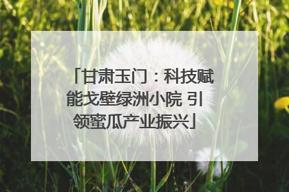 甘肃玉门：科技赋能戈壁绿洲小院 引领蜜瓜产业振兴