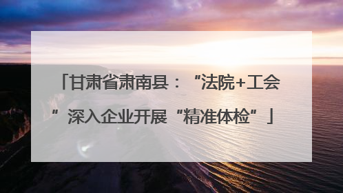 甘肃省肃南县：“法院+工会”深入企业开展“精准体检”