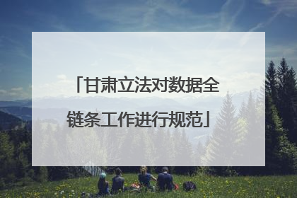 甘肃立法对数据全链条工作进行规范