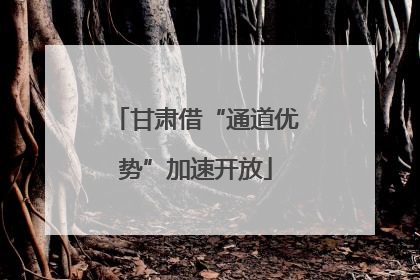 甘肃借“通道优势”加速开放