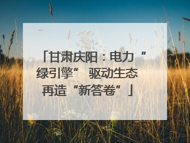 甘肃庆阳：电力“绿引擎” 驱动生态再造“新答卷”