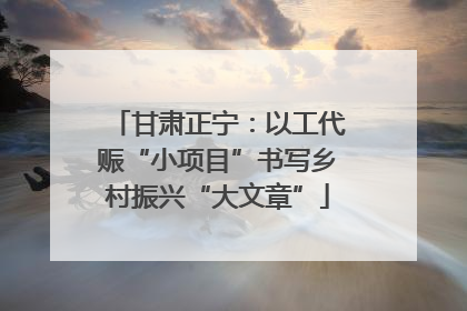 甘肃正宁：以工代赈“小项目”书写乡村振兴“大文章”