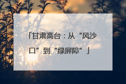 甘肃高台：从“风沙口”到“绿屏障”
