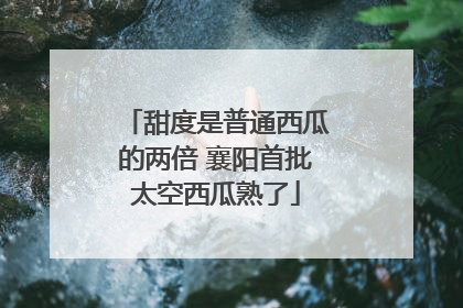 甜度是普通西瓜的两倍 襄阳首批太空西瓜熟了