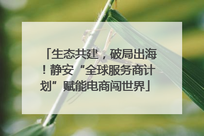 生态共建，破局出海！静安“全球服务商计划”赋能电商闯世界