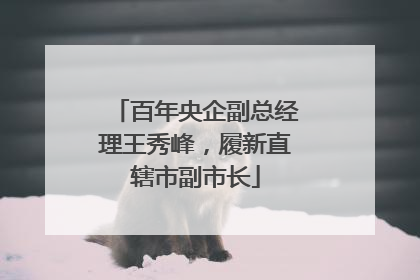 百年央企副总经理王秀峰，履新直辖市副市长