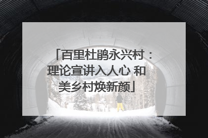 百里杜鹃永兴村：理论宣讲入人心 和美乡村焕新颜