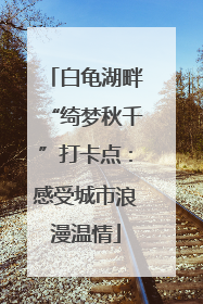 白龟湖畔“绮梦秋千”打卡点：感受城市浪漫温情
