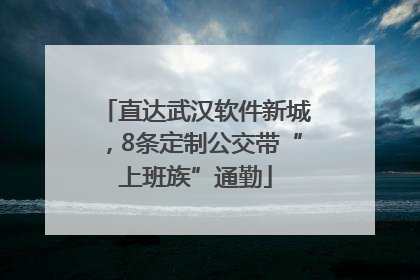 直达武汉软件新城，8条定制公交带“上班族”通勤