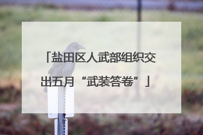 盐田区人武部组织交出五月“武装答卷”