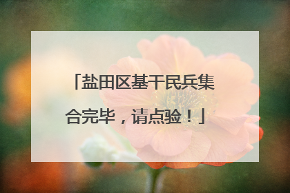 盐田区基干民兵集合完毕，请点验！