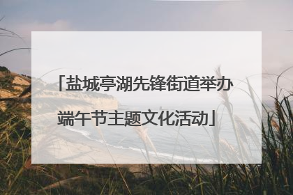 盐城亭湖先锋街道举办端午节主题文化活动