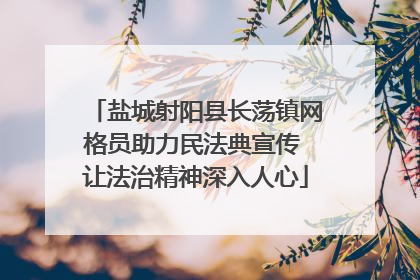 盐城射阳县长荡镇网格员助力民法典宣传 让法治精神深入人心
