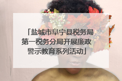盐城市阜宁县税务局第一税务分局开展廉政警示教育系列活动