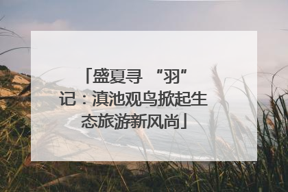 盛夏寻 “羽” 记：滇池观鸟掀起生态旅游新风尚
