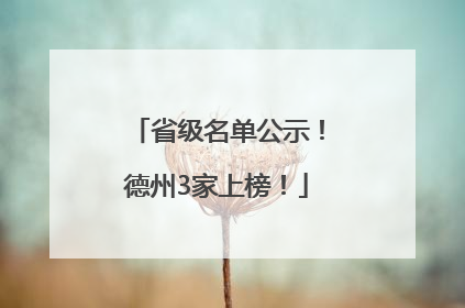省级名单公示！德州3家上榜！