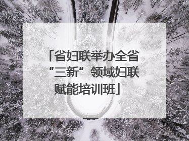 省妇联举办全省“三新”领域妇联赋能培训班