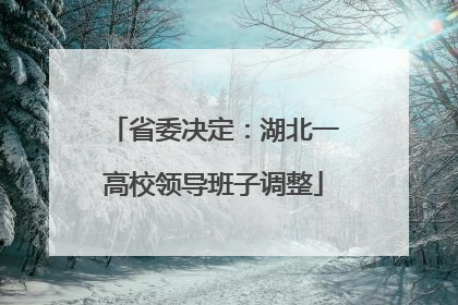 省委决定：湖北一高校领导班子调整