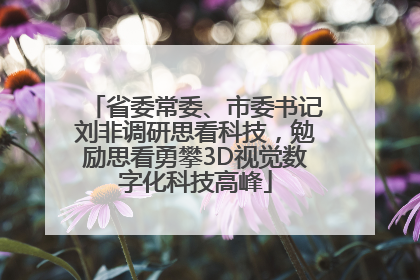 省委常委、市委书记刘非调研思看科技，勉励思看勇攀3D视觉数字化科技高峰