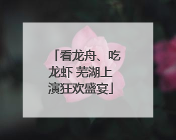 看龙舟、吃龙虾 芜湖上演狂欢盛宴