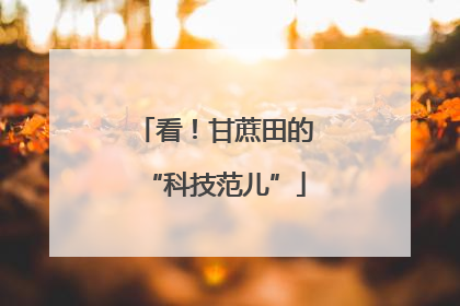 看！甘蔗田的“科技范儿”