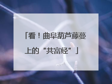看！曲阜葫芦藤蔓上的“共富经”