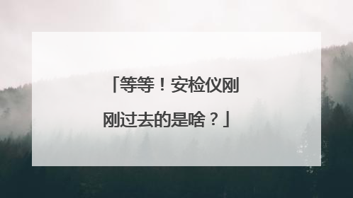 等等！安检仪刚刚过去的是啥？
