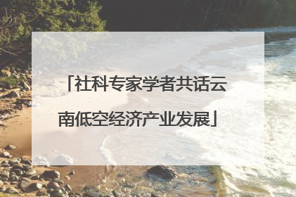 社科专家学者共话云南低空经济产业发展