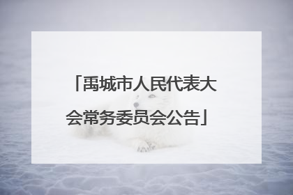 禹城市人民代表大会常务委员会公告