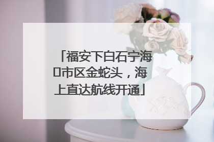 福安下白石宁海⇆市区金蛇头，海上直达航线开通