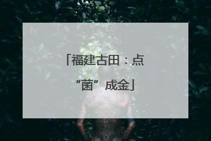 福建古田：点“菌”成金