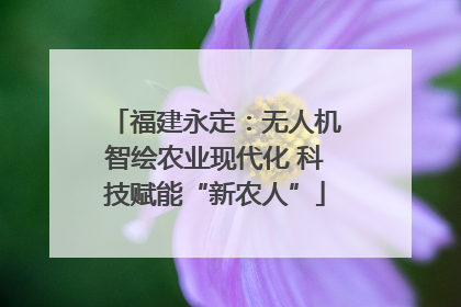 福建永定：无人机智绘农业现代化 科技赋能“新农人”
