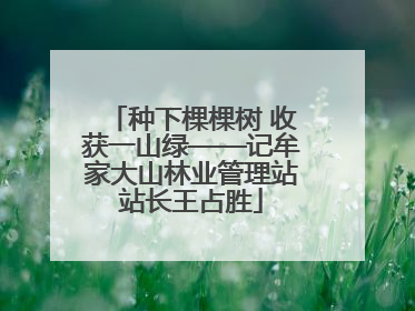 种下棵棵树 收获一山绿——记牟家大山林业管理站站长王占胜