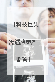 科技巨头需适应更严监管