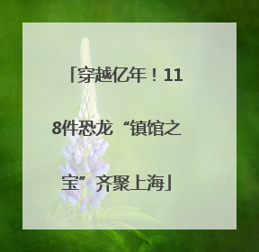 穿越亿年！118件恐龙“镇馆之宝”齐聚上海