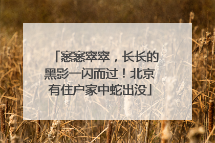 窸窸窣窣，长长的黑影一闪而过！北京有住户家中蛇出没