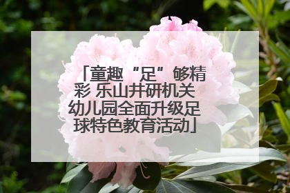 童趣“足”够精彩 乐山井研机关幼儿园全面升级足球特色教育活动
