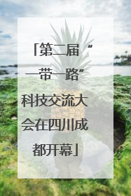第二届“一带一路”科技交流大会在四川成都开幕