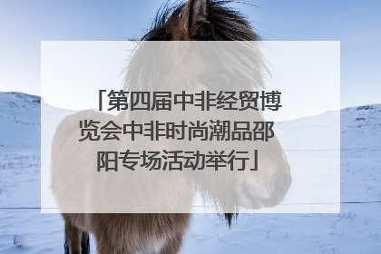 第四届中非经贸博览会中非时尚潮品邵阳专场活动举行